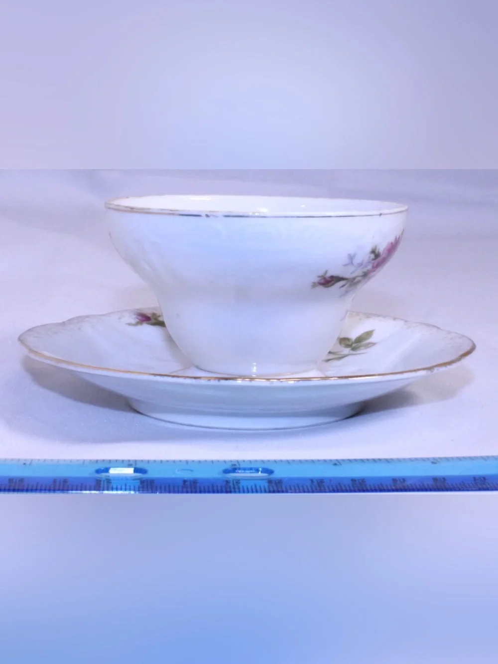 Vintage Royal Sealy China Moss Rose Teacup and Saucer Set
